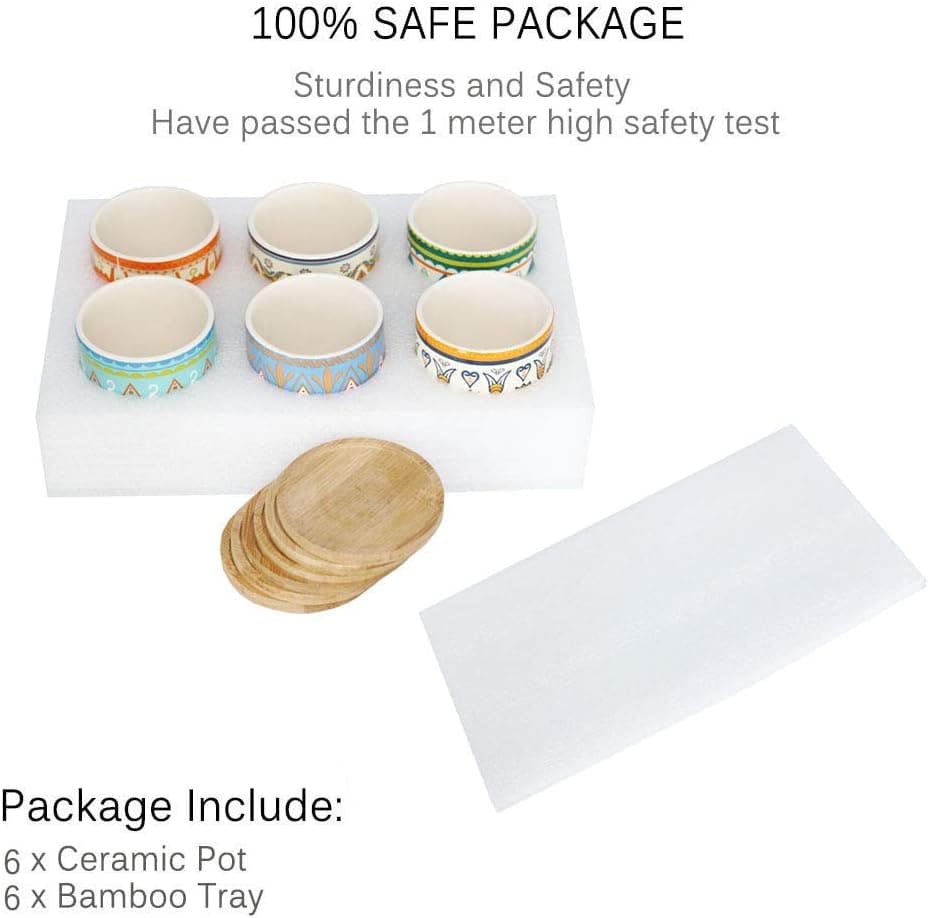 Vasos para suculentas – Vaso de cerâmica para suculentas de 7,9 cm - Vasos de flores cilíndricos para cactos com orifício de drenagem e bandeja de bambu, pacote com 6 - Imagem 4