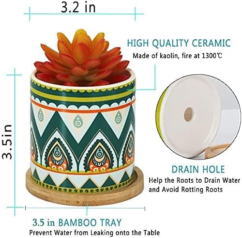 Vasos para suculentas – Vaso de cerâmica para suculentas de 7,9 cm - Vasos de flores cilíndricos para cactos com orifício de drenagem e bandeja de bambu, pacote com 6 - Imagem 3