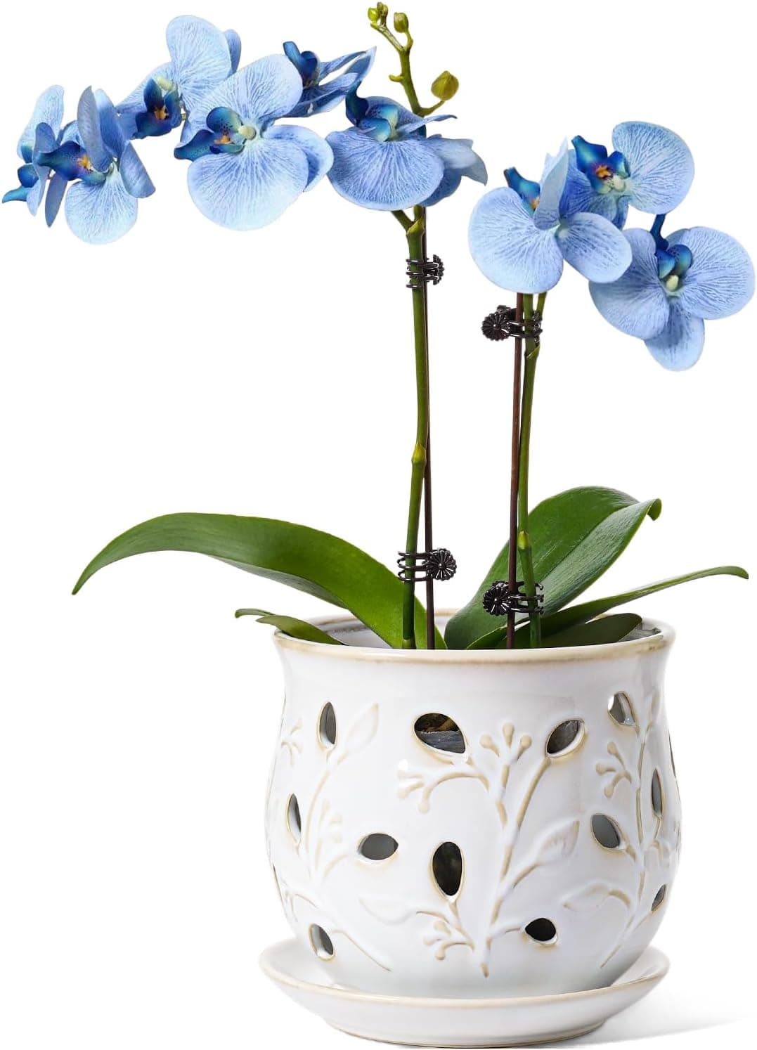 LE TAUCI Vaso de orquídea de cerâmica, vasos de orquídeas de 15 cm com furos, plantador de orquídeas para replantação, vaso de plantas de interior com drenagem e pires, branco ártico