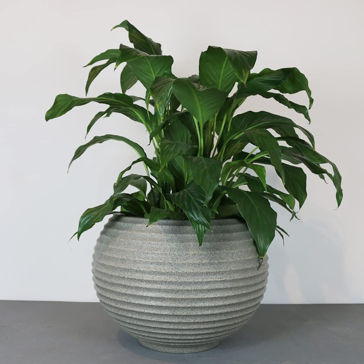 Vaso Bromélia 32 x 32 cm Vasart - Imagem 3