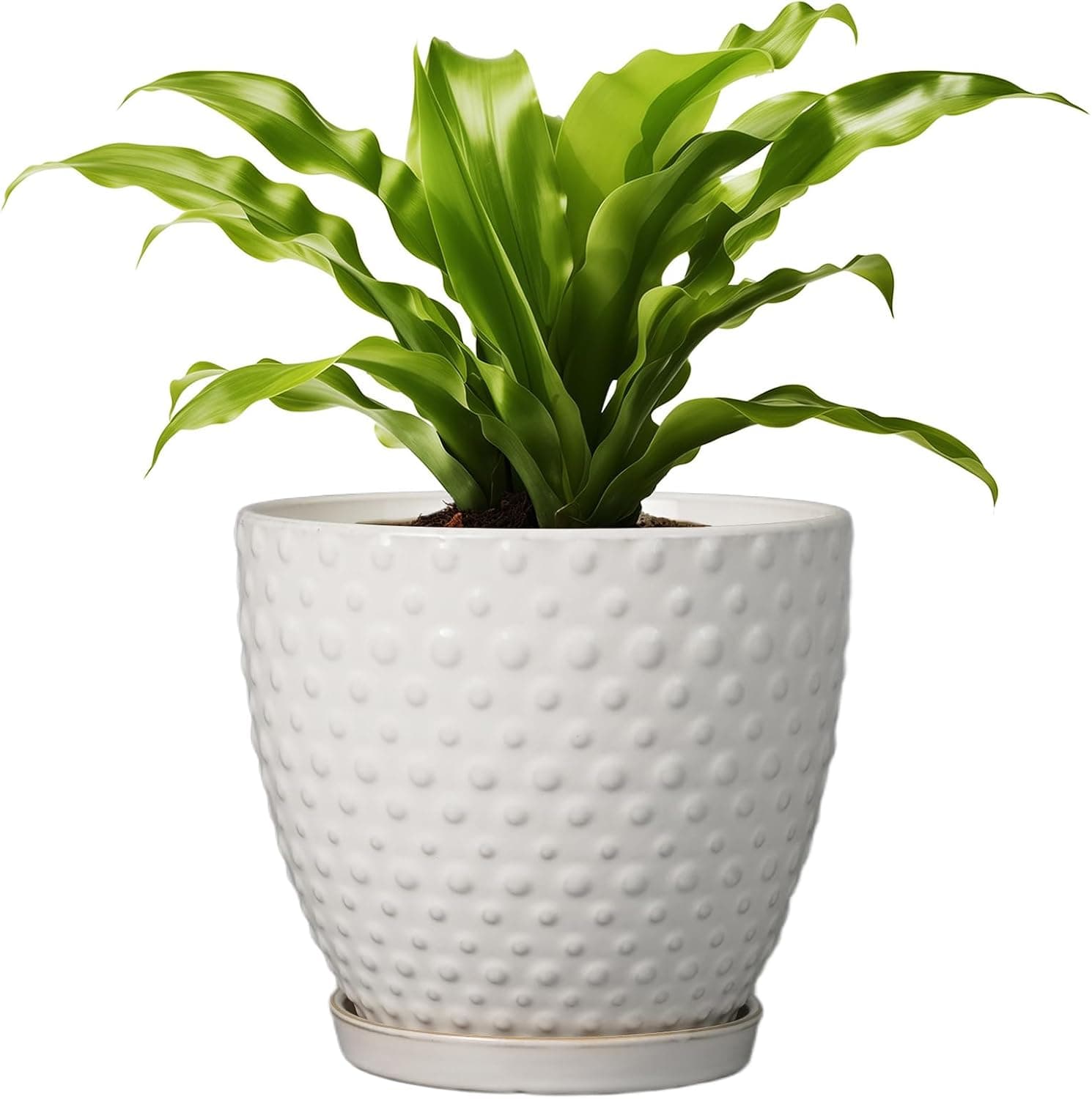 G EPGardening Vaso de 20 cm para plantas internas e externas, vaso redondo de cerâmica com orifício de drenagem e pires, vaso de flores grande moderno branco