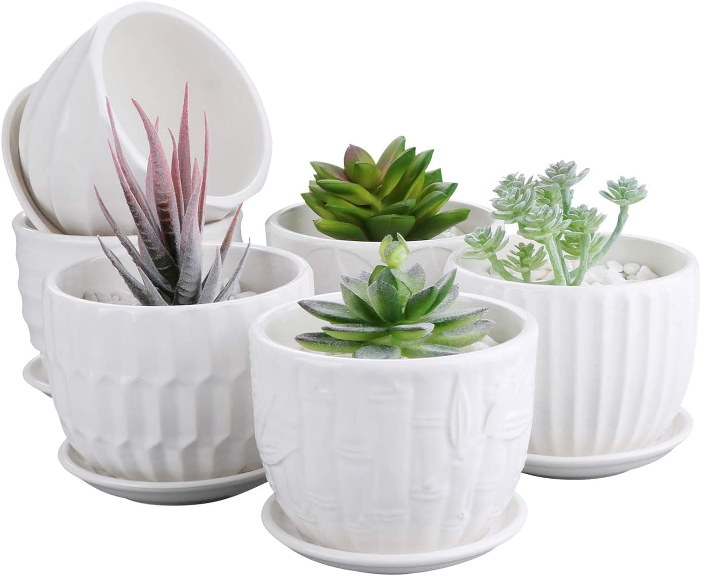 Brajttt Vasos de flores, vasos de cerâmica cilíndricos de 10 cm com pires conectados, mini vasos de cerâmica para suculentas e pequenas plantas de cobra (pacote com 6, branco)