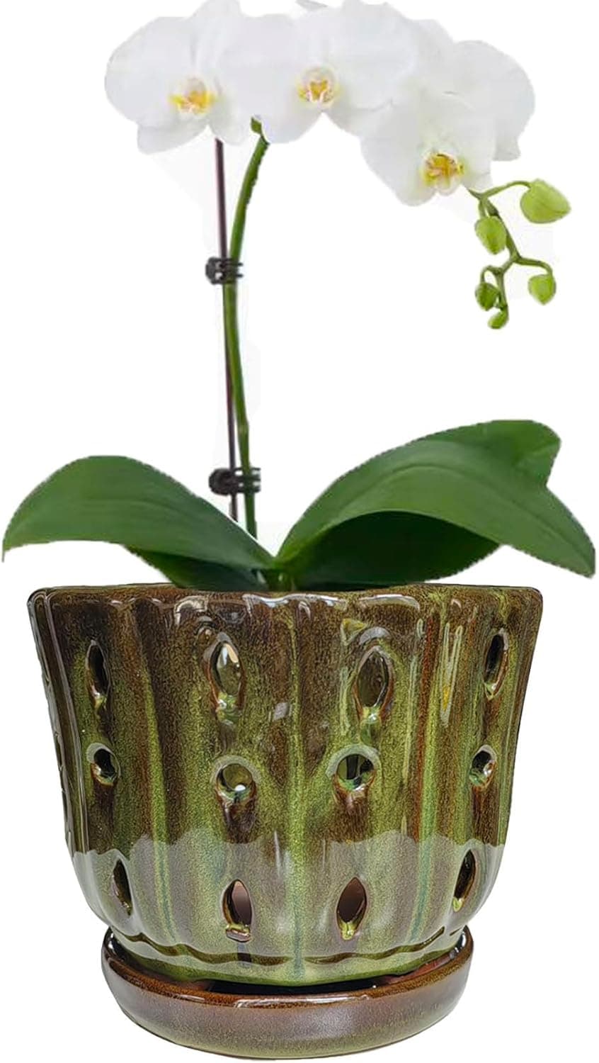 Vasos de orquídea de cerâmica com pires anexados e orifício de drenagem plantador de orquídeas de 15 cm (verde-musgo)