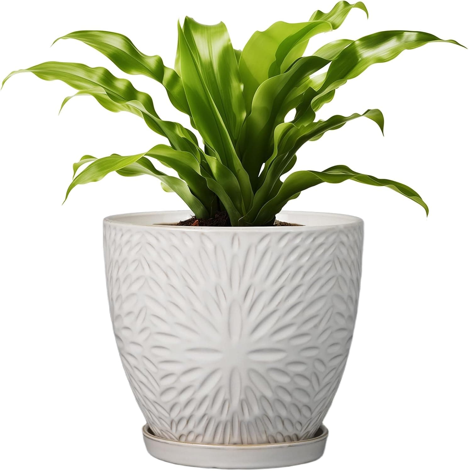 G EPGardening Vaso de 20 cm para plantas internas e externas, vaso redondo de cerâmica com orifício de drenagem e pires, vaso de flores grande moderno branco - Imagem 2