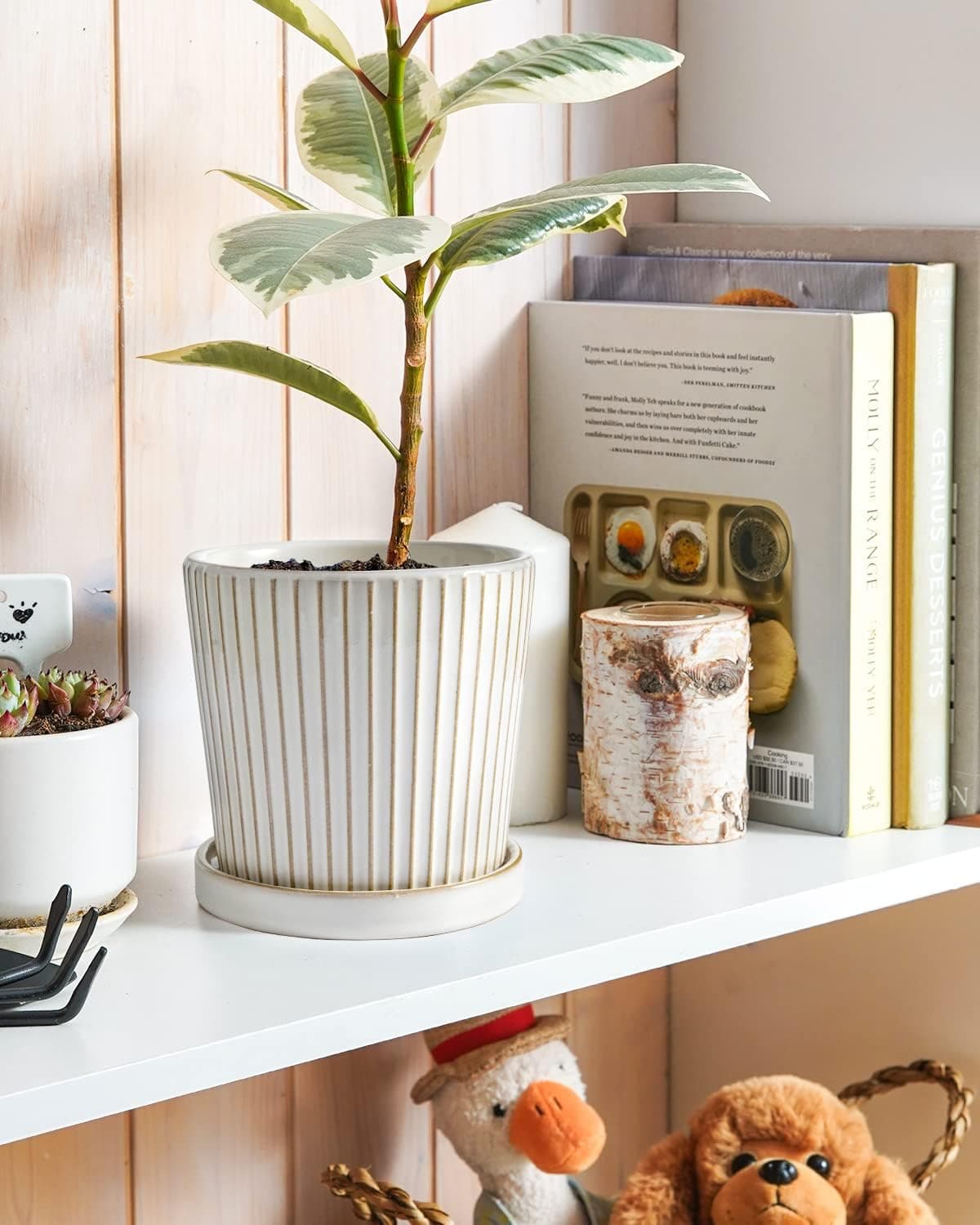 LE TAUCI Vasos de cerâmica para plantas, vasos de plantas de 13 cm com orifício de drenagem e pires, vasos de plantas de interior para suculentas, plantas de cobra e cacto, vasos de flores, conjunto - Imagem 4