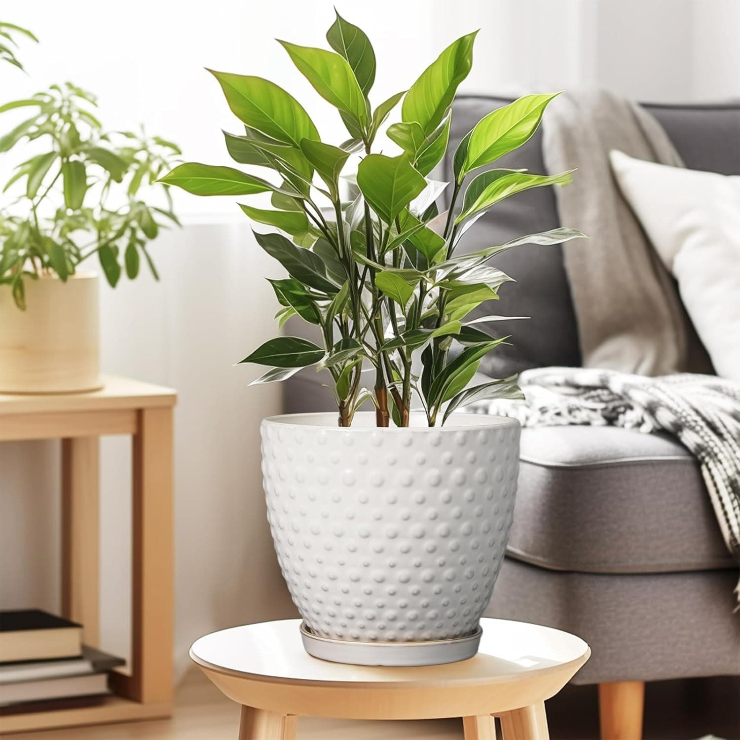 G EPGardening Vaso de 20 cm para plantas internas e externas, vaso redondo de cerâmica com orifício de drenagem e pires, vaso de flores grande moderno branco - Imagem 3