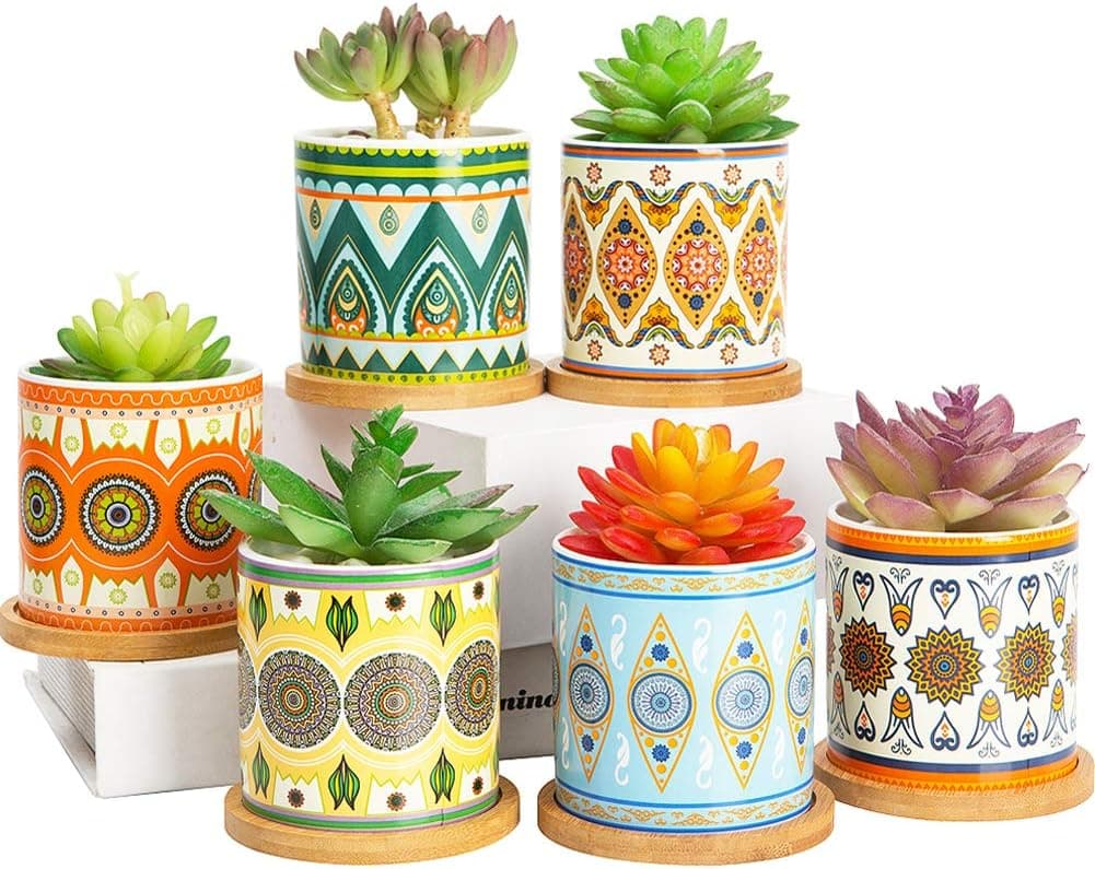 Vasos para suculentas – Vaso de cerâmica para suculentas de 7,9 cm - Vasos de flores cilíndricos para cactos com orifício de drenagem e bandeja de bambu, pacote com 6