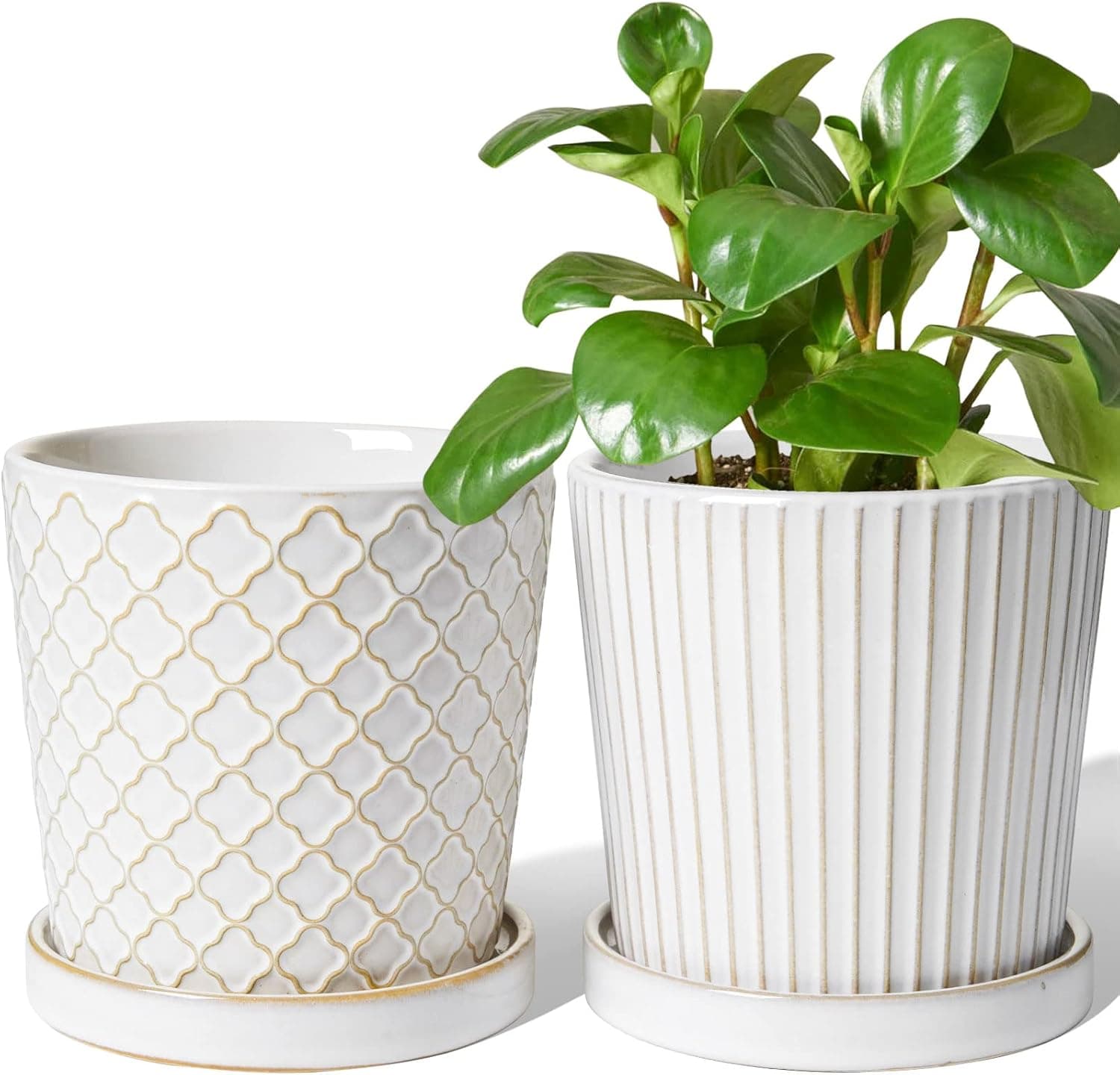 LE TAUCI Vasos de cerâmica para plantas, vasos de plantas de 13 cm com orifício de drenagem e pires, vasos de plantas de interior para suculentas, plantas de cobra e cacto, vasos de flores, conjunto