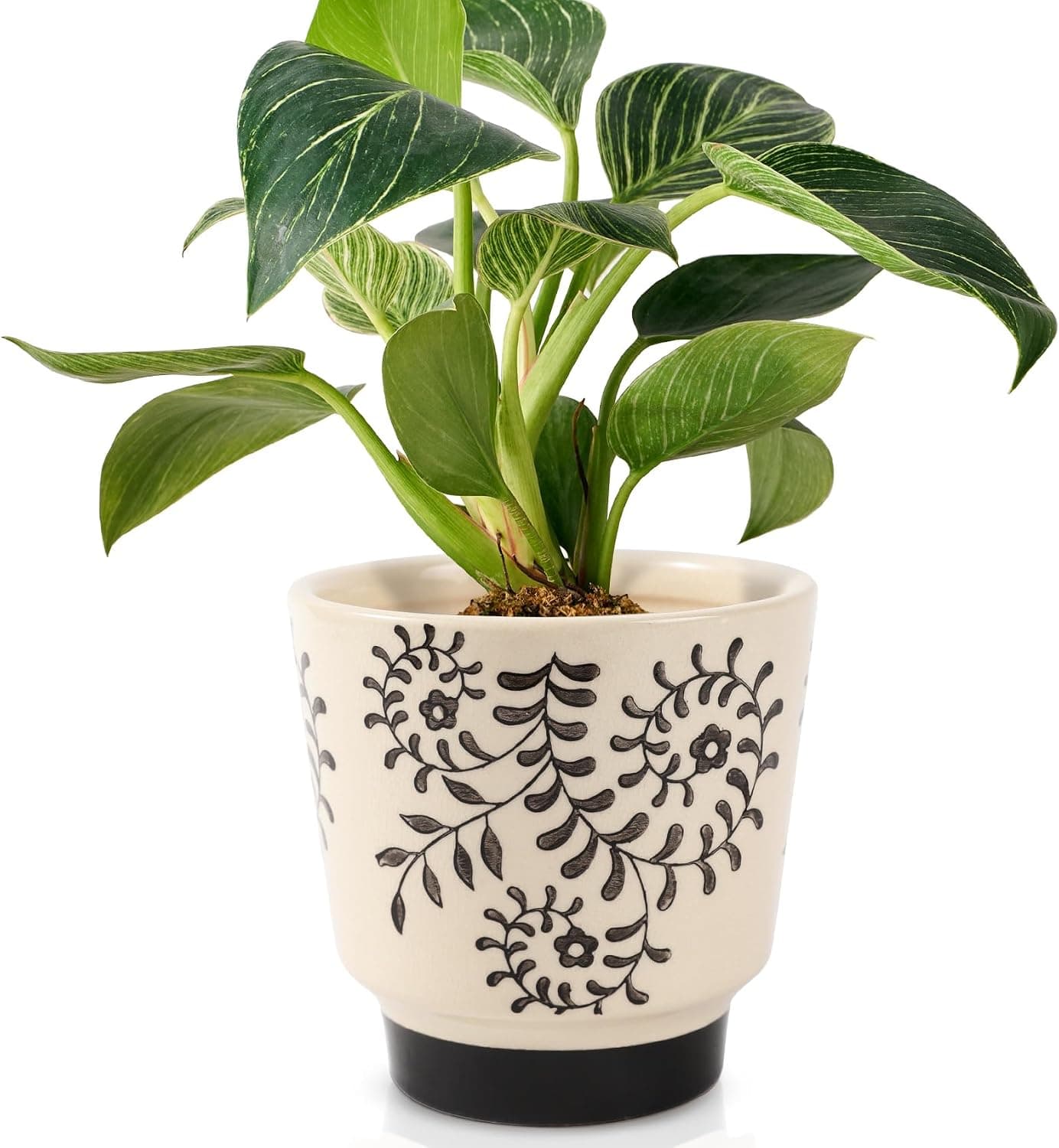 Vasos de cerâmica para interior com orifícios de drenagem, 12 cm, lindos vasos de flores suculentas, pequenos vasos de orquídeas para plantas de interior, vasos de jardim, flores